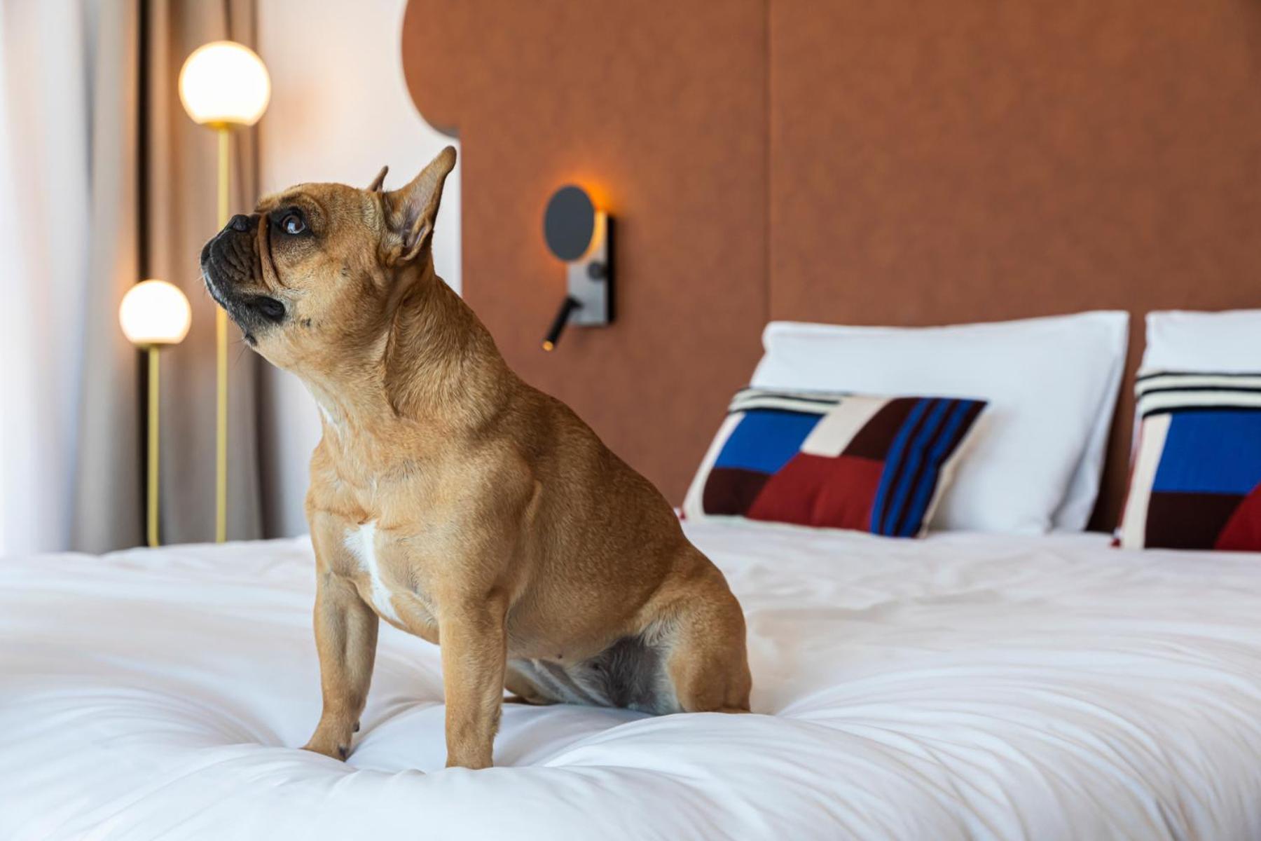 Mercure Dunkerque Centre Gare Dunkirk Dış mekan fotoğraf